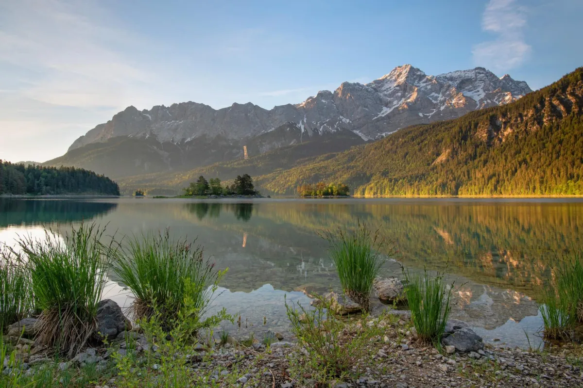 Eibsee lake in Bavaria with the Zugspitze mountain reflected in the clear turquoise water, tall grass in the foreground