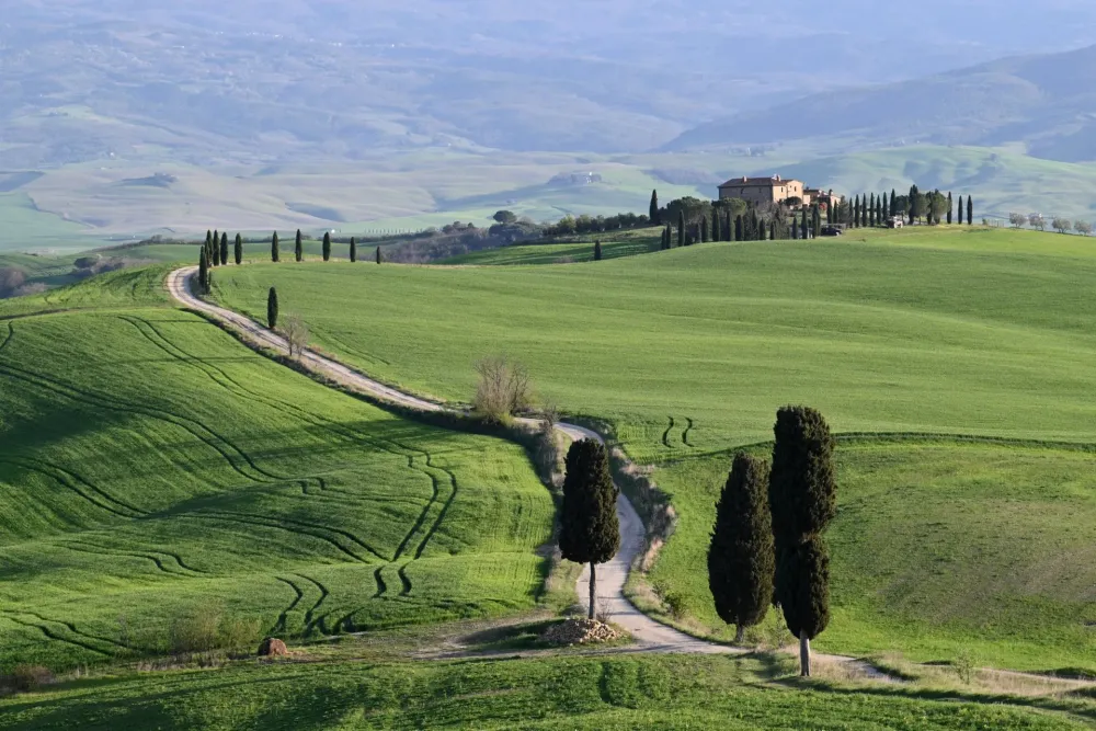 The cypress-lined road through Tuscany's Val d'Orcia near Pienza, where Gladiator's Elysium wheat field scenes were filmed