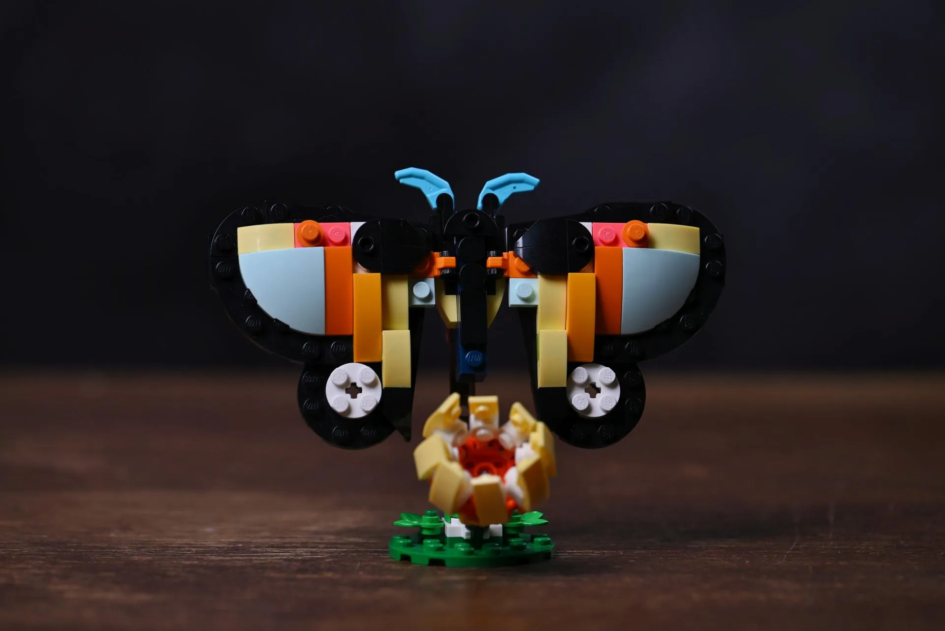 The butterfly alternate build of the LEGO Creator Tropical Toucan (31173) set, wings spread above its brick-built flower