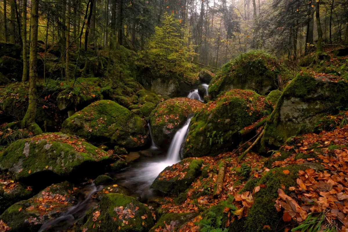 Gertelbach waterfall cascading over moss-covered rocks in the Black Forest, surrounded by autumn foliage